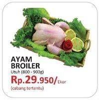 Promo Harga Ayam Broiler  - Yogya