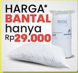 Promo Harga Pantone Pillow & Bolster  - COURTS