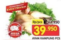 Promo Harga Ayam Kampung  - Superindo