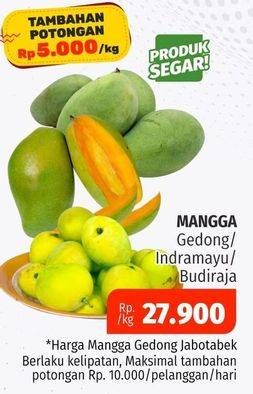 Promo Harga Mangga Gedong/Indramayu/Budiraja   - Lotte Grosir