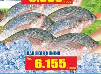 Promo Harga Ikan Ekor Kuning per 100 gr - Hari Hari