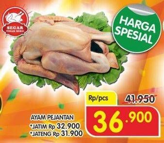 Promo Harga Ayam Pejantan  - Superindo