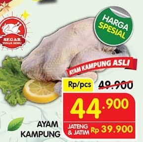 Promo Harga Ayam Kampung 500 gr - Superindo