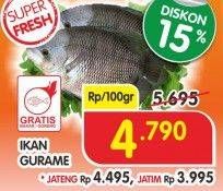 Promo Harga Ikan Gurame per 100 gr - Superindo