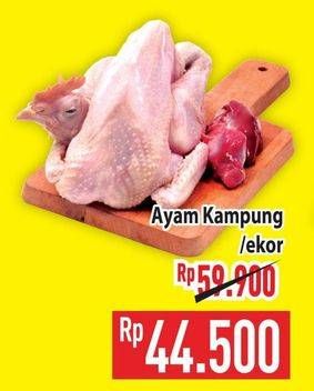Promo Harga Ayam Kampung 500 gr - Hypermart
