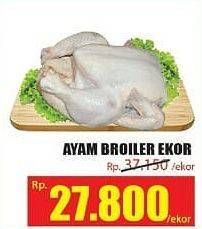 Promo Harga Ayam Broiler  - Hari Hari