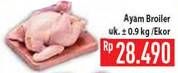 Promo Harga Ayam Broiler  - Hypermart