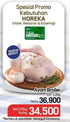 Promo Harga Ayam Broiler 800 gr - Lotte Grosir