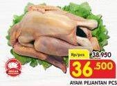 Promo Harga Ayam Pejantan  - Superindo