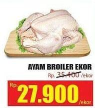 Promo Harga Ayam Broiler  - Hari Hari