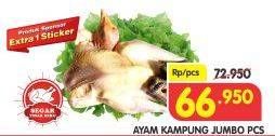 Promo Harga Ayam Kampung Jumbo  - Superindo