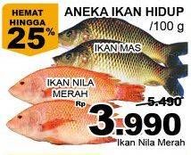 Promo Harga Ikan Nila Merah per 100 gr - Giant