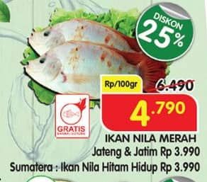 Promo Harga Ikan Nila Merah per 100 gr - Superindo