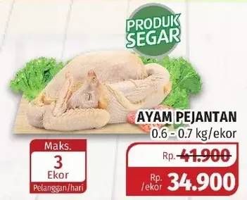 Promo Harga Ayam Pejantan 6-7ons  - Lotte Grosir