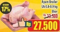 Promo Harga Ayam Broiler 800 gr - Hypermart