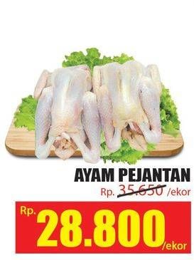 Promo Harga Ayam Pejantan  - Hari Hari