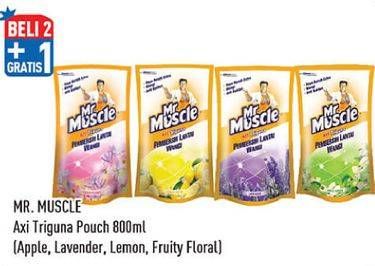 Promo Harga MR MUSCLE Keramik Floor Cleaner Lavender, Lemon, Apple 800 ml - Hypermart