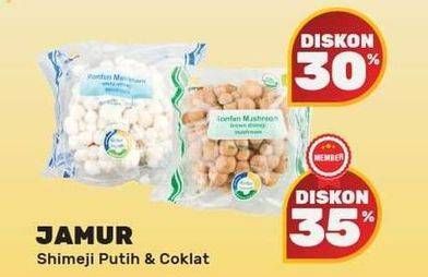 Promo Harga Jamur Shimeji Cokelat, Putih  - Yogya