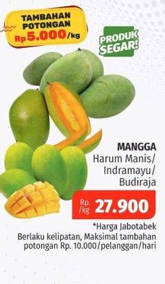 Promo Harga Mangga Harum Manis/ Indramayu/ Budiraja   - Lotte Grosir