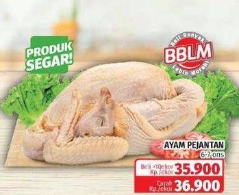 Promo Harga Ayam Pejantan 6-7ons  - Lotte Grosir