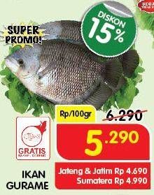 Promo Harga Ikan Gurame per 100 gr - Superindo