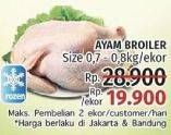 Promo Harga Ayam Broiler 800 gr - LotteMart