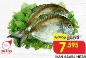 Promo Harga Ikan Bawal Hitam per 100 gr - Superindo