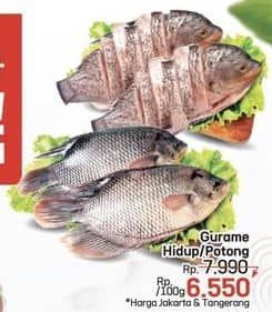 Promo Harga Ikan Gurame Hidup per 100 gr - LotteMart