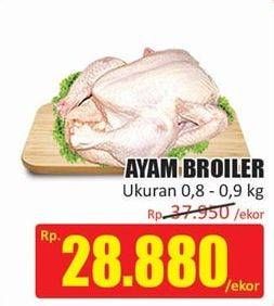 Promo Harga Ayam Broiler 800 gr - Hari Hari