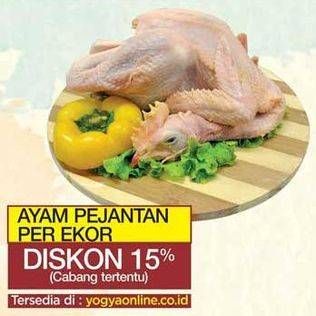 Promo Harga Ayam Pejantan  - Yogya