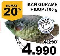 Promo Harga Ikan Gurame Hidup per 100 gr - Giant