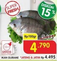 Promo Harga Ikan Gurame per 100 gr - Superindo