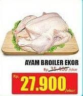 Promo Harga Ayam Broiler  - Hari Hari