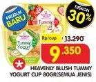 Promo Harga HEAVENLY BLUSH Tummy Yoghurt Bar All Variants 80 gr - Superindo