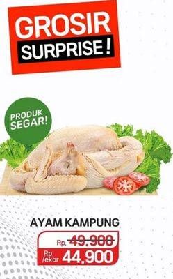 Promo Harga Ayam Kampung 600 gr - Lotte Grosir