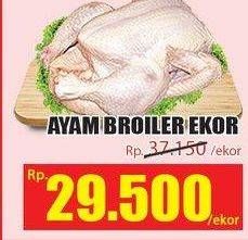 Promo Harga Ayam Broiler  - Hari Hari