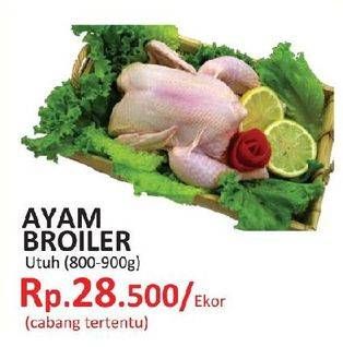 Promo Harga Ayam Broiler  - Yogya