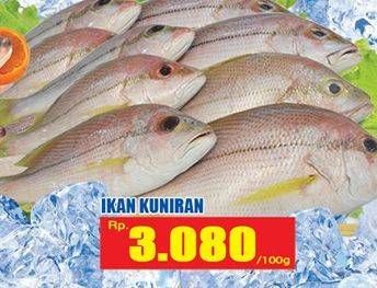 Promo Harga Ikan Kuniran per 100 gr - Hari Hari