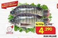 Promo Harga Ikan Mujair per 100 gr - Superindo