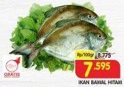 Promo Harga Ikan Bawal Hitam per 100 gr - Superindo