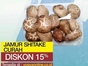 Promo Harga Jamur Shitake  - Yogya