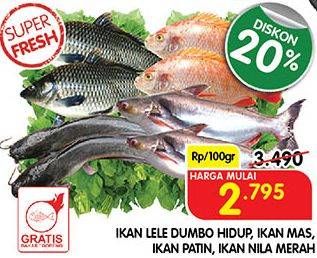 Promo Harga IKAN Lele Dumbo Hidup/ Ikan Mas/ Ikan Patin/ Ikan Nila Merah  - Superindo