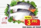 Promo Harga Ikan Bawal Tawar per 100 gr - Superindo