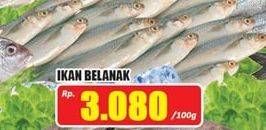 Promo Harga Ikan Belanak per 100 gr - Hari Hari