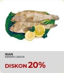 Promo Harga Ikan Kerapu per 250 gr - Yogya