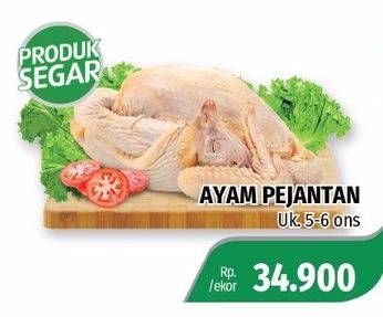 Promo Harga Ayam Pejantan  - Lotte Grosir