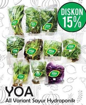 Promo Harga Aneka Sayur Hydroponic All Variants  - Yogya