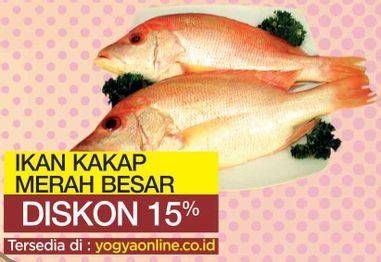 Promo Harga Ikan Kakap Merah Besar per 100 gr - Yogya