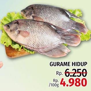 Promo Harga Ikan Gurame Hidup per 100 gr - LotteMart