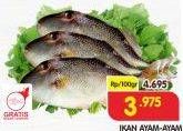 Promo Harga Ikan Ayam-Ayam per 100 gr - Superindo